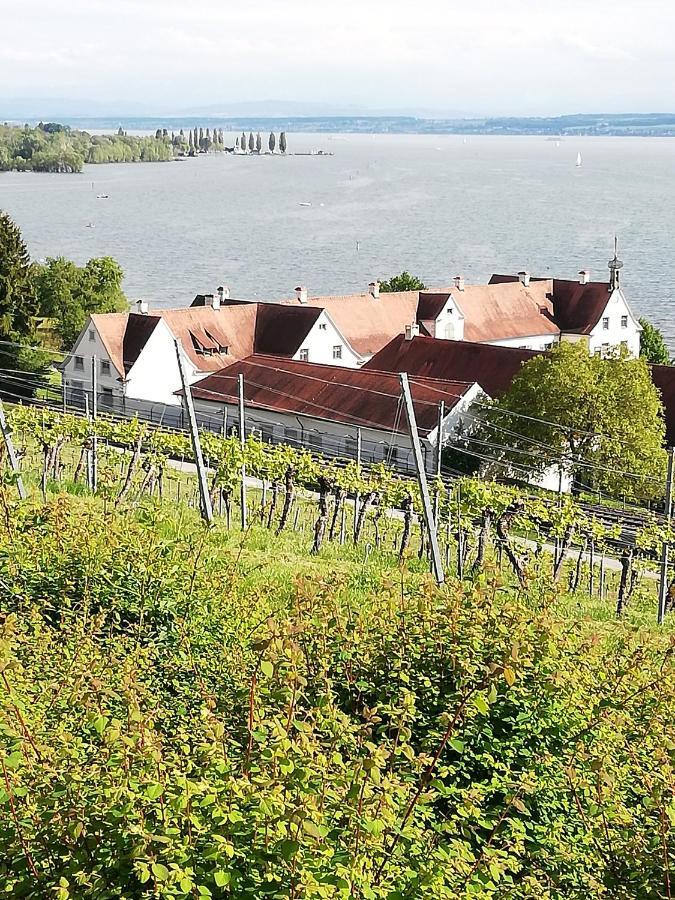 Apartment Große über 2 Etage Am Bodensee Zwischen Friedrichshafen, Konstanz Und Insel Mainau *