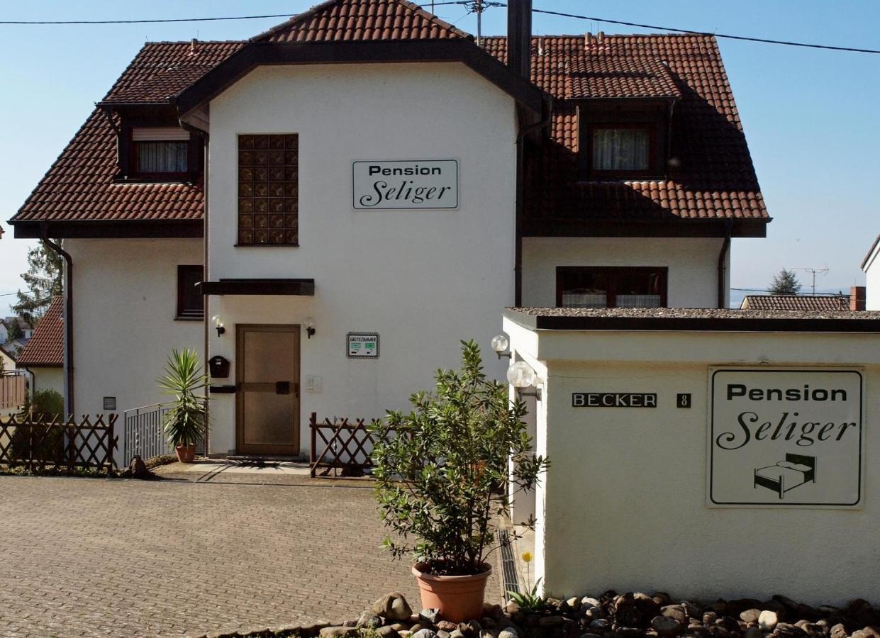 Seliger Meersburg