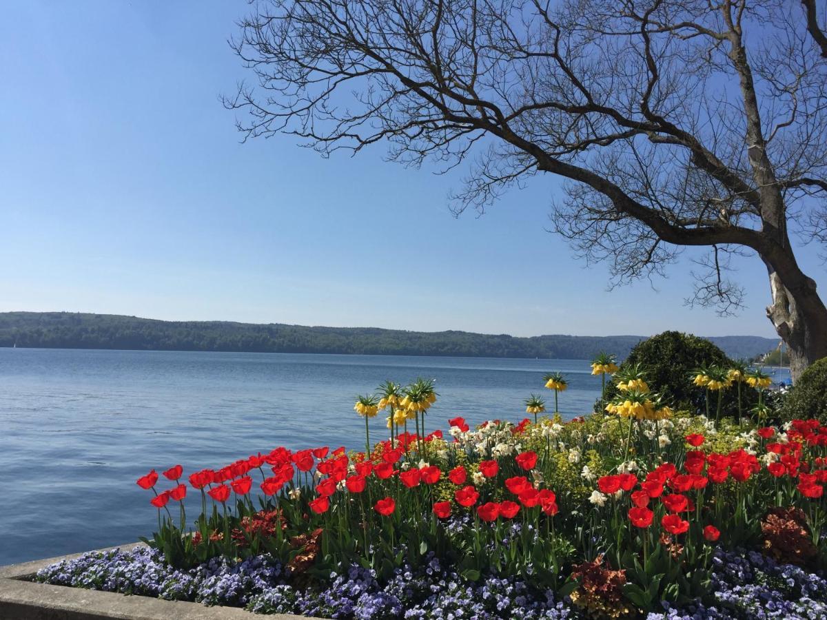 Seliger * Meersburg