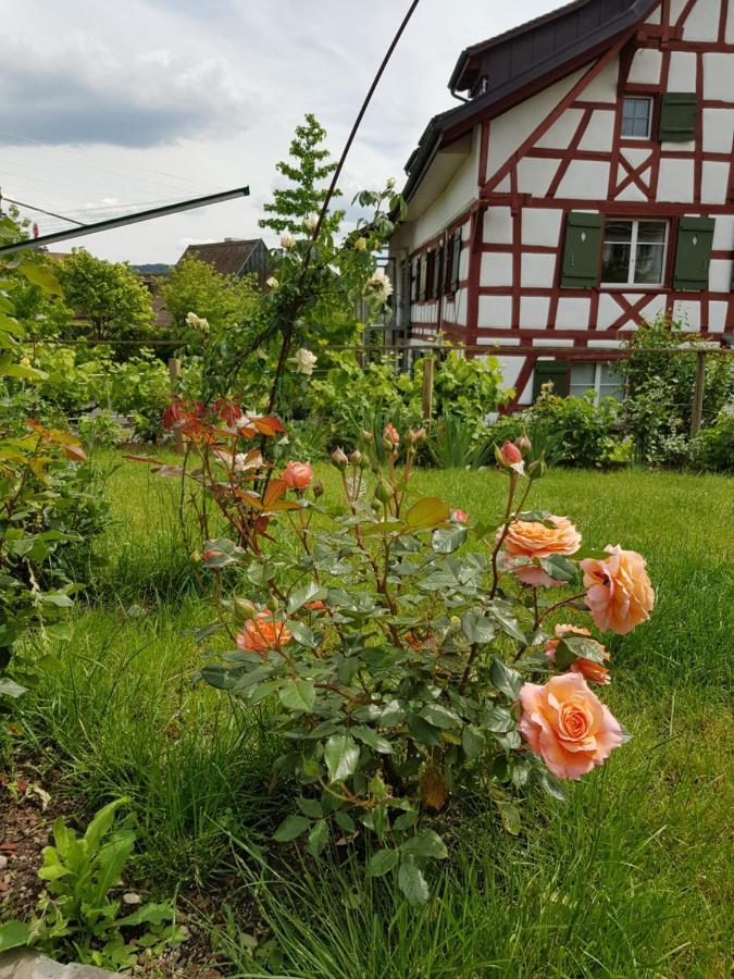 Bed & Breakfast Garni-hotel Muehletal *