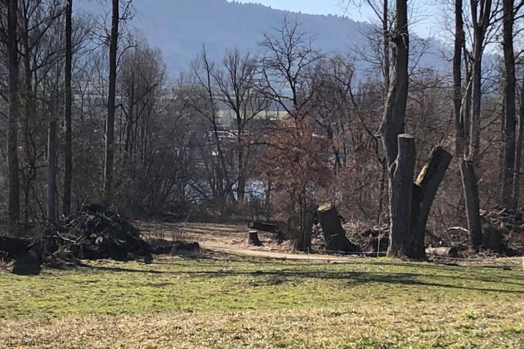 Familien-haus,garten,grill,20m Zum Rhein Stein Am Rhein