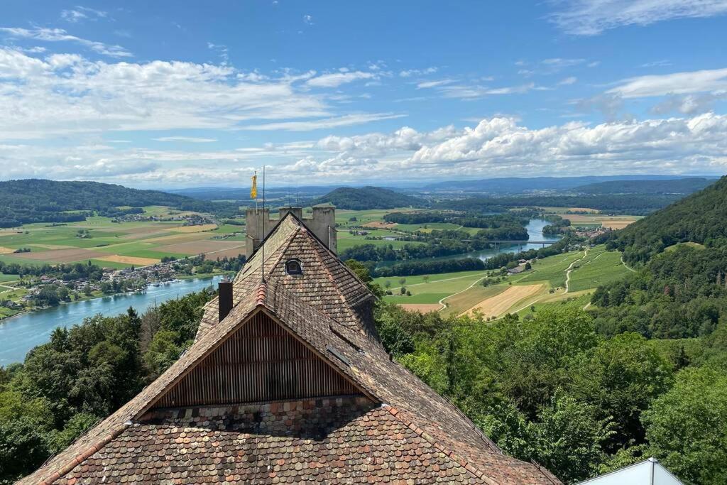 Familien-haus,garten,grill,20m Zum Rhein * Stein Am Rhein