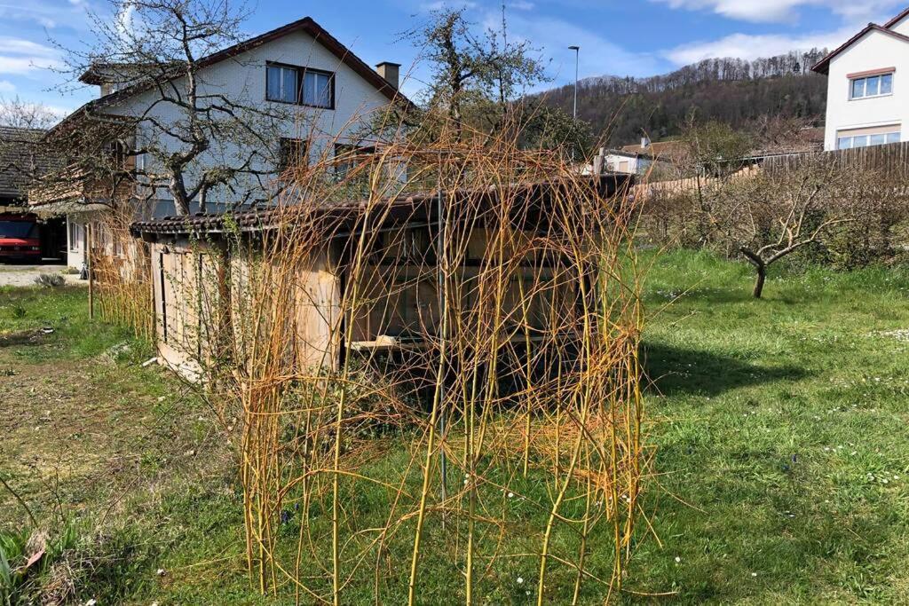 Familien-haus,garten,grill,20m Zum Rhein Stein Am Rhein