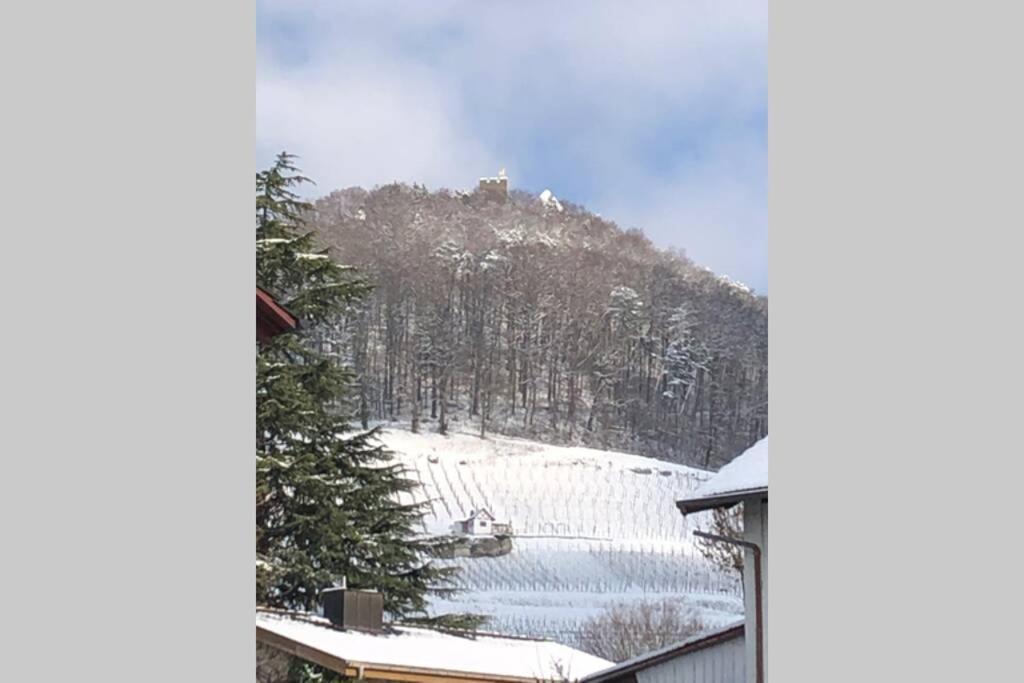 Holiday home Familien-haus,garten,grill,20m Zum Rhein Stein Am Rhein