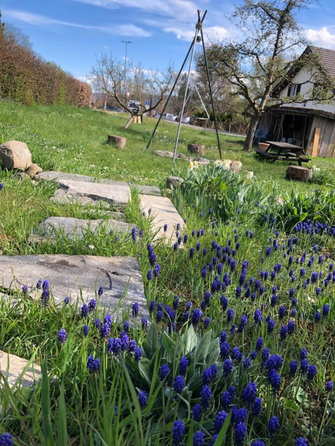 Familien-haus,garten,grill,20m Zum Rhein Holiday home