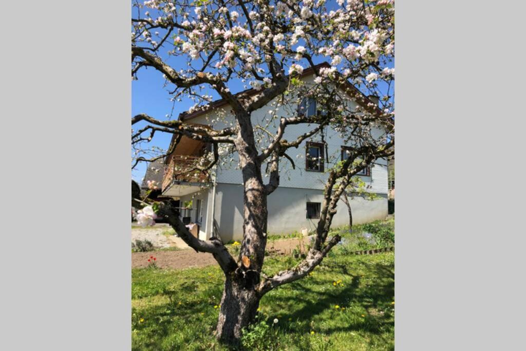 Familien-haus,garten,grill,20m Zum Rhein Holiday home *