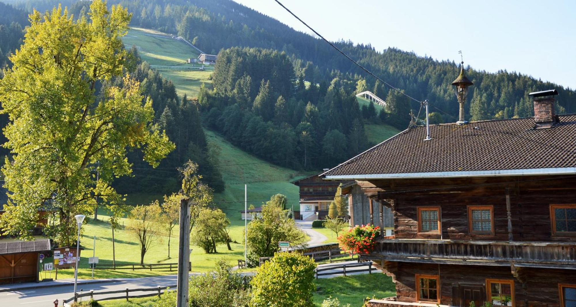 Steinerhof Guest house *