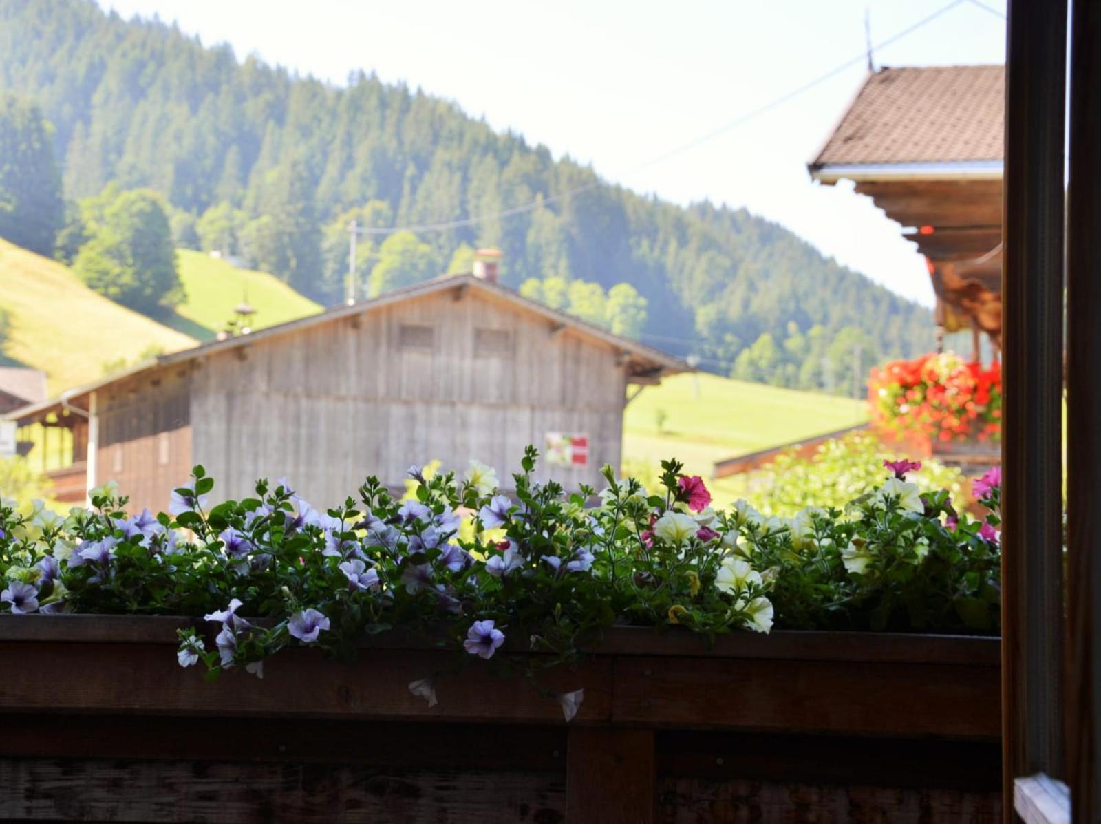 Guest house Steinerhof