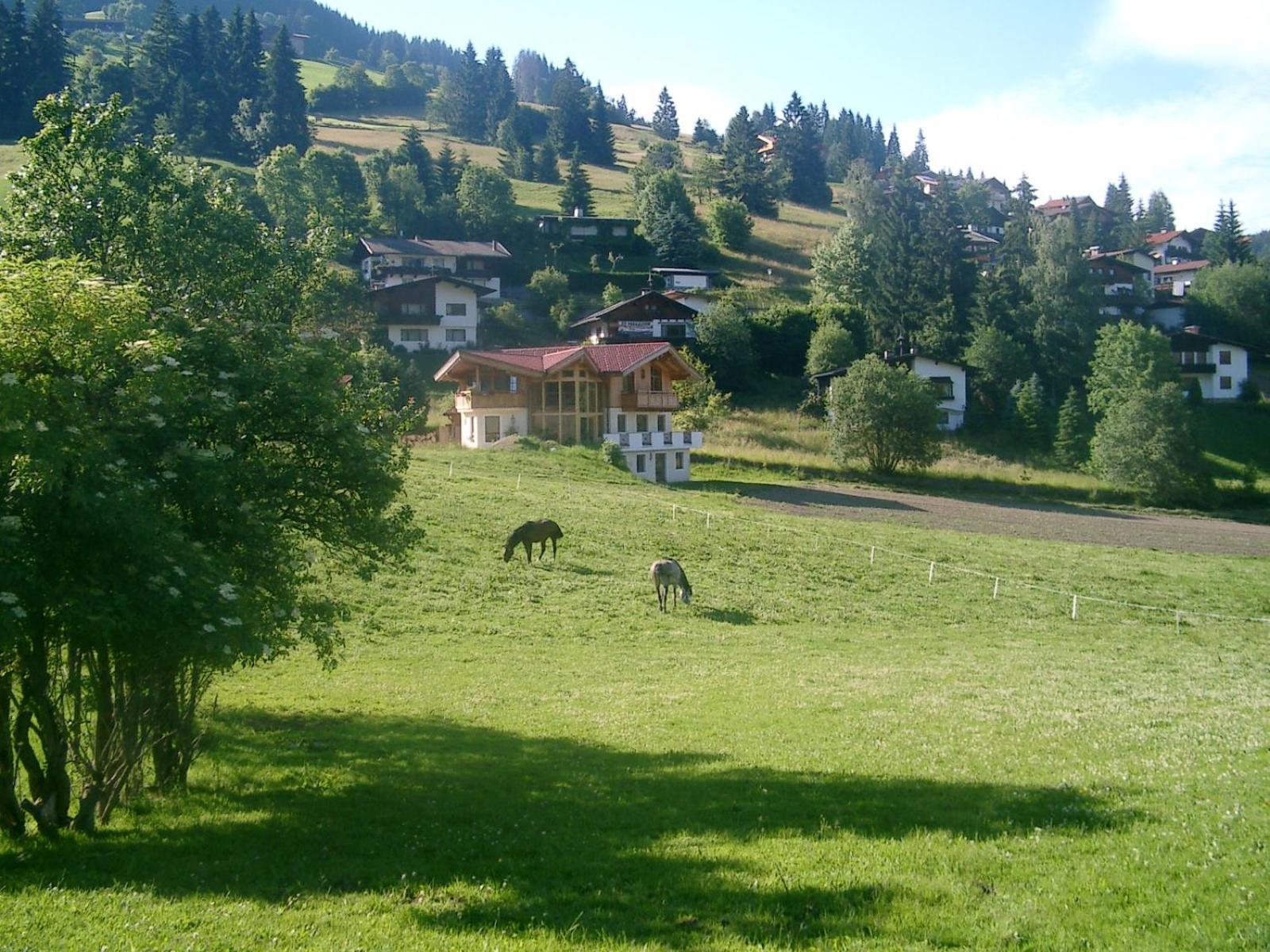 Steinerhof *