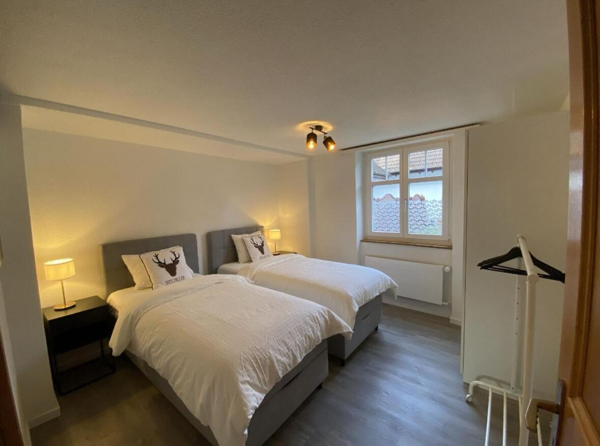Zentrales Wohlfuehlapartment Mit Gratis Stellplatz Apartment