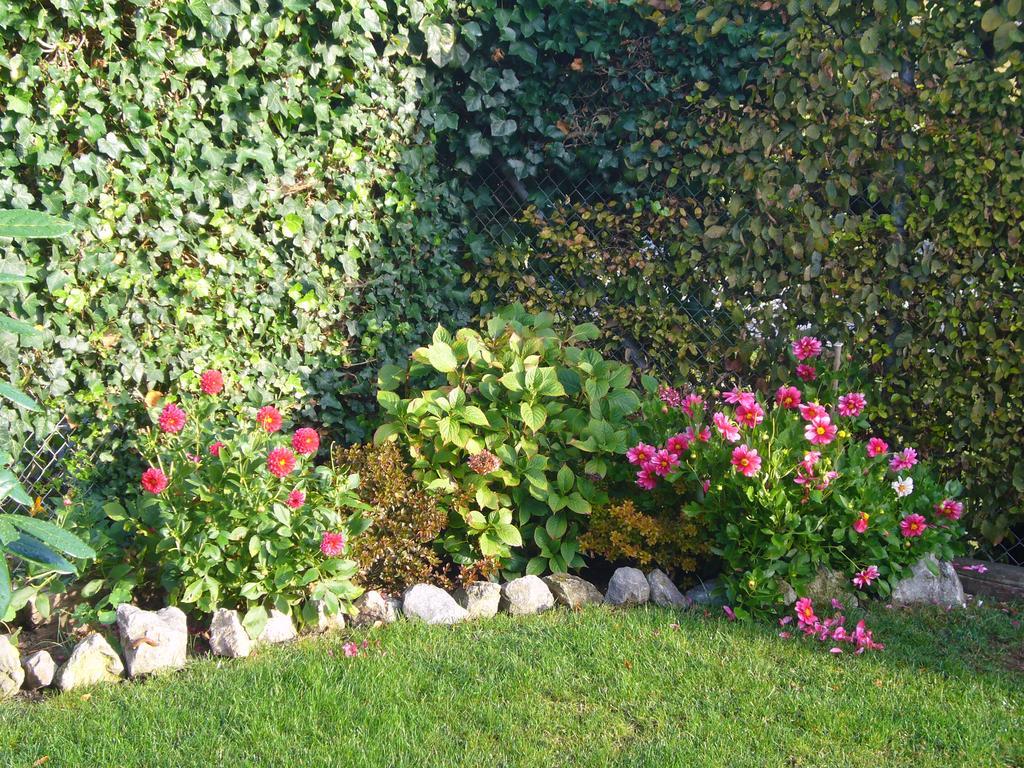 Reni's Oase Am Bodensee Bed & Breakfast Kesswil