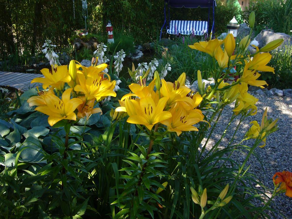 Reni's Oase Am Bodensee Bed & Breakfast Kesswil