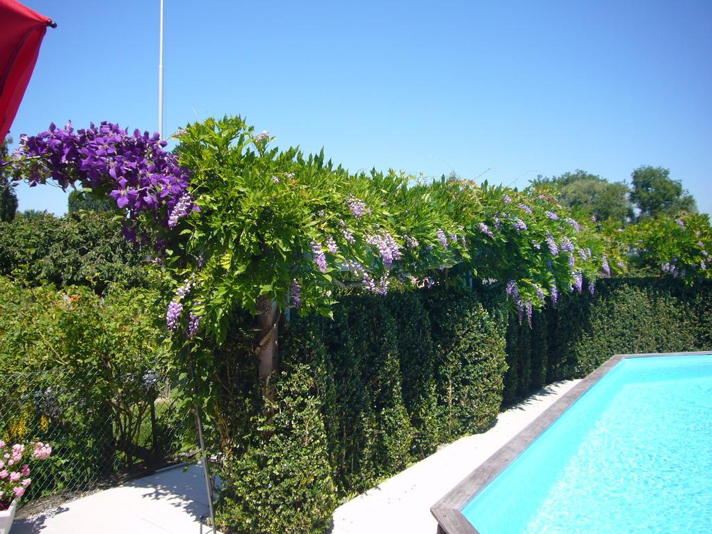 Bed & Breakfast Reni's Oase Am Bodensee 3*