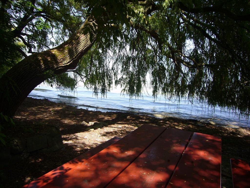 Reni's Oase Am Bodensee Bed & Breakfast Kesswil