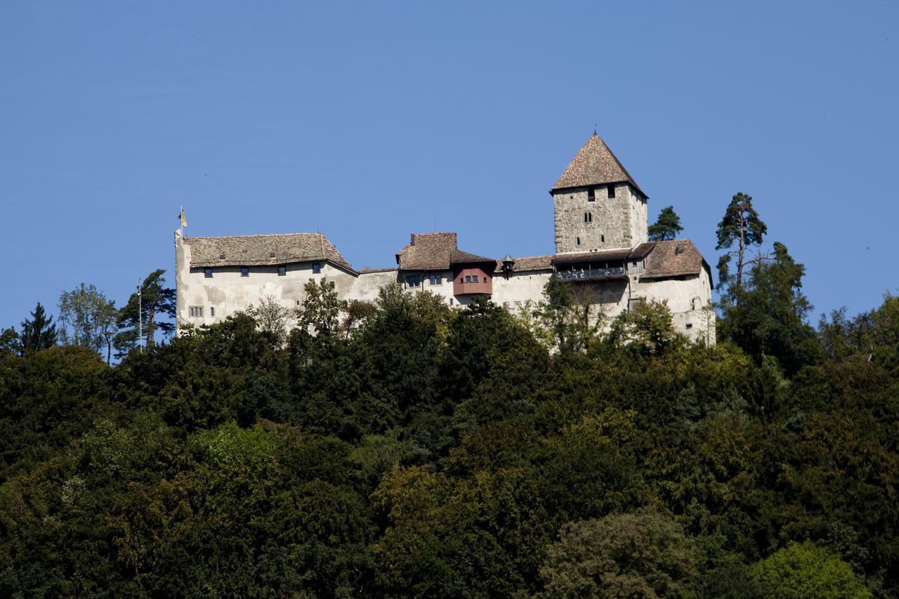 Rheingerbe Hotel *