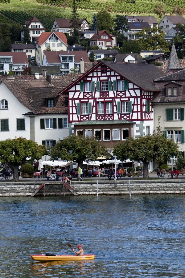 Rheingerbe Hotel *