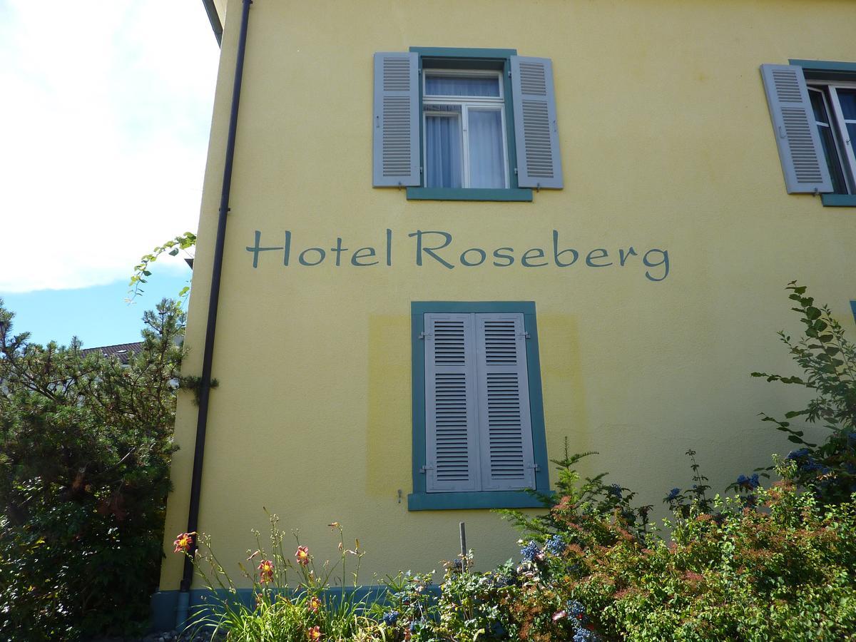 Roseberg Stein Am Rhein