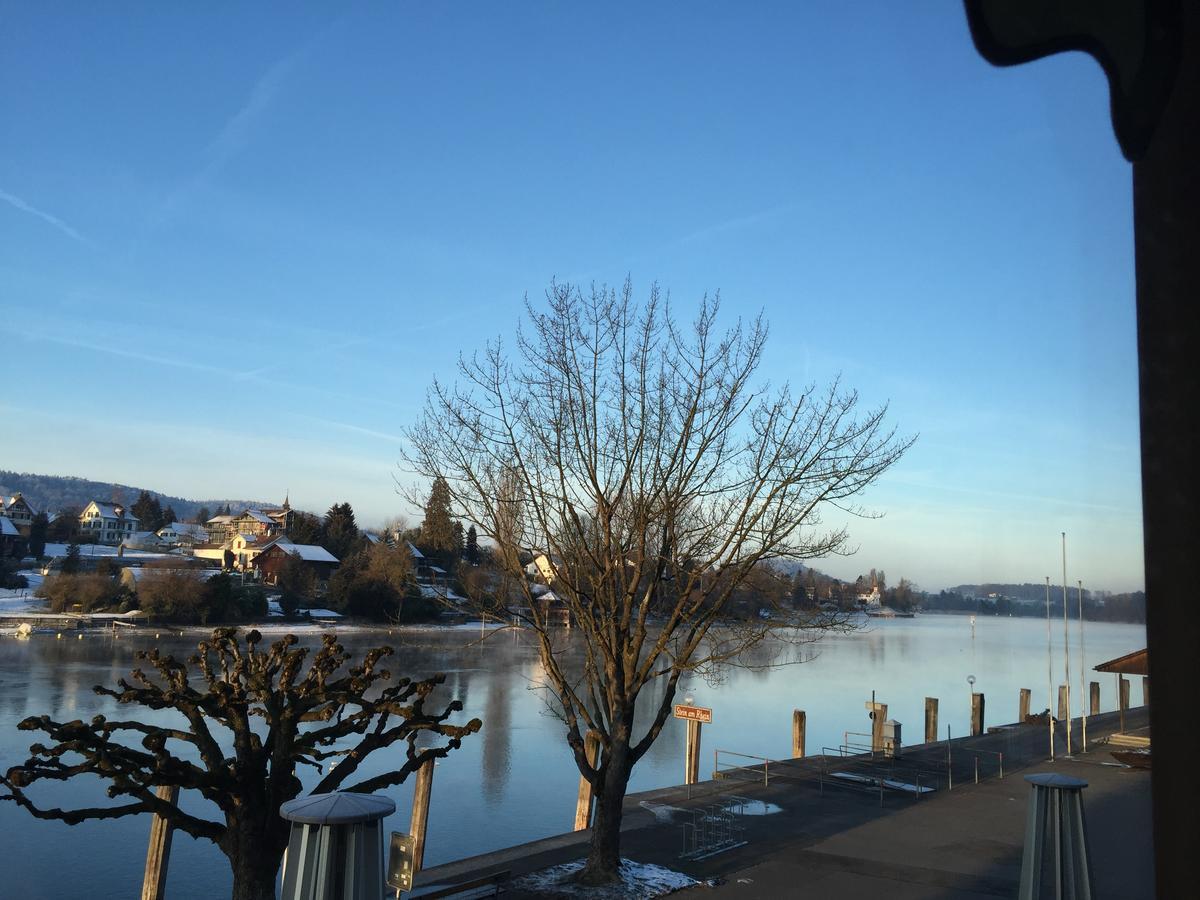 Hotel Rheingerbe *