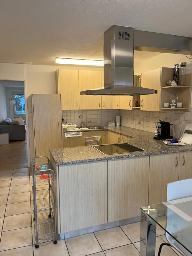 Apartment Amazing Lakeview Flat *