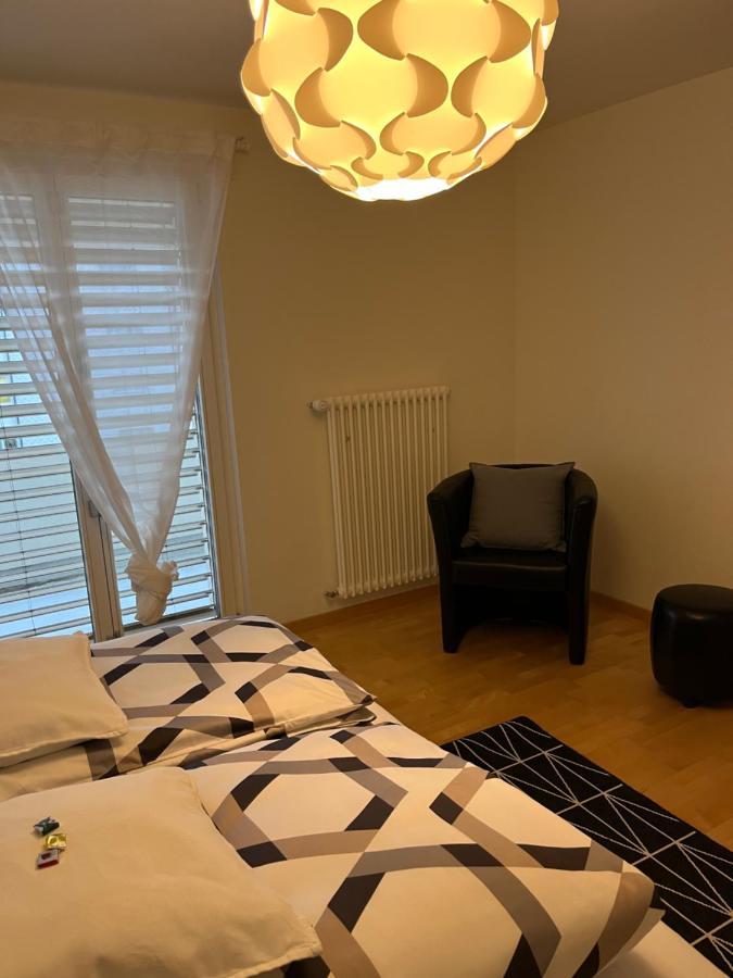 Amazing Lakeview Flat Apartment Horn