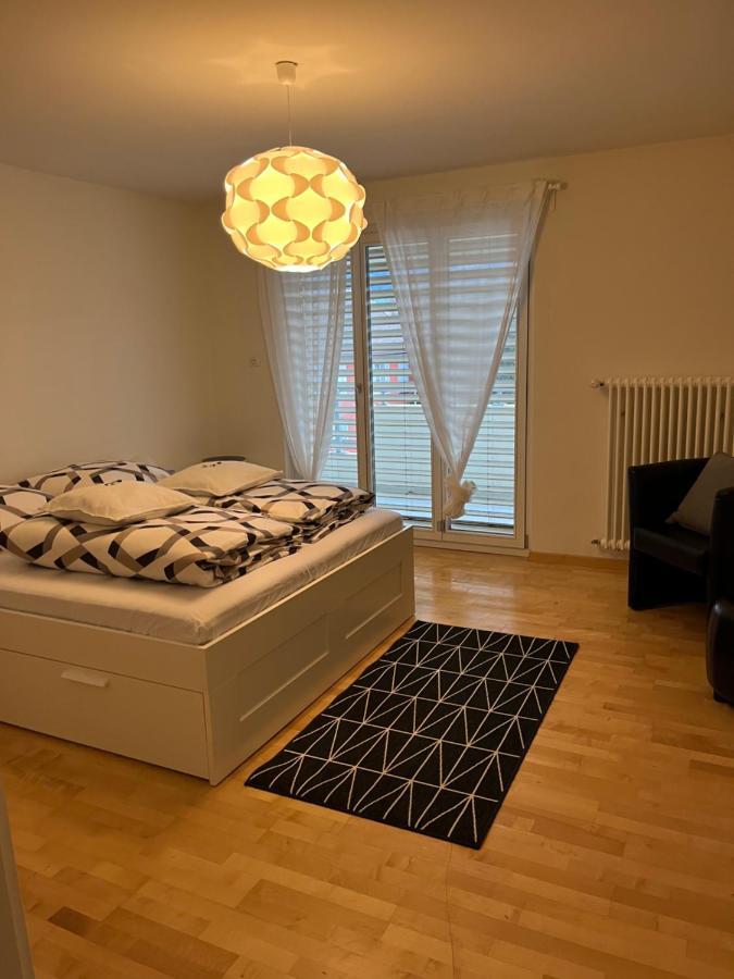 Apartment Amazing Lakeview Flat *