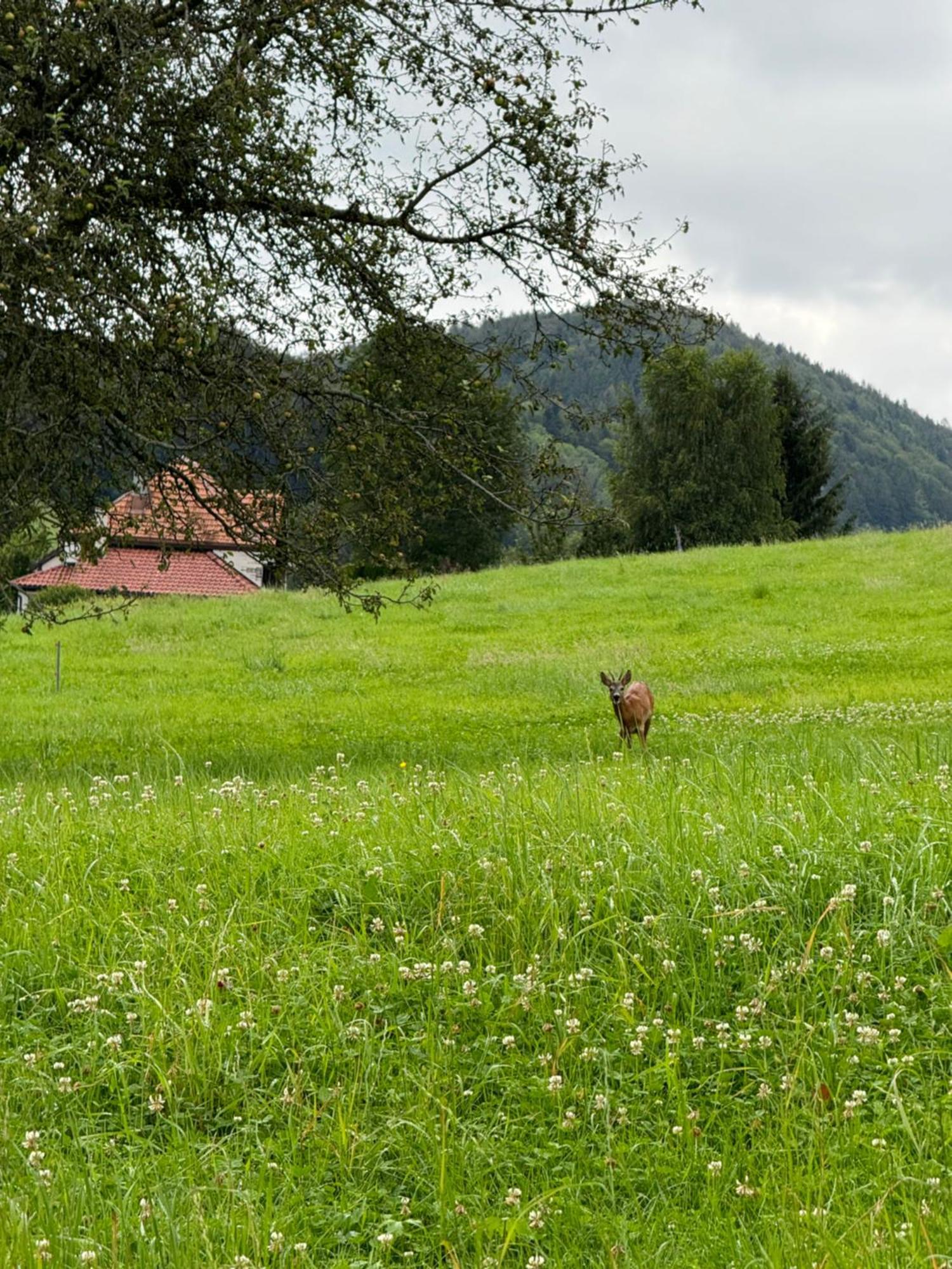 Anitas Landerlebnis Eggersriet