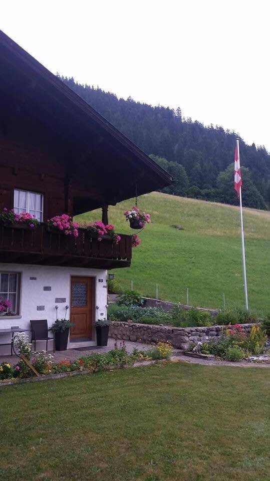 Duplex Flat - Amazing With Pond Gstaad