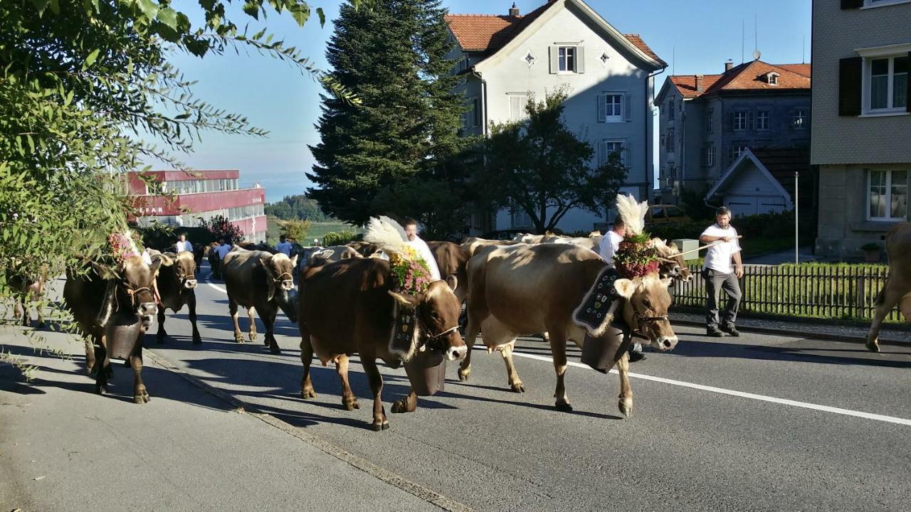 Haus Basilea Wolfhalden
