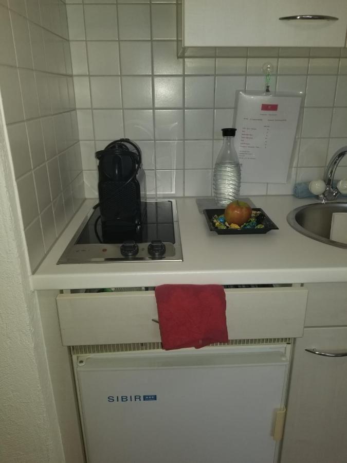 Direkt Am Bodensee Apartment