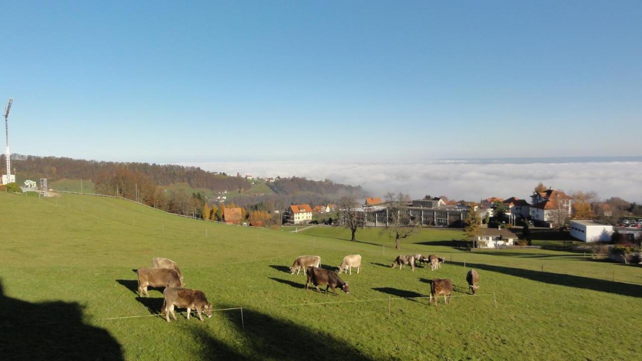 Park Guest house Heiden